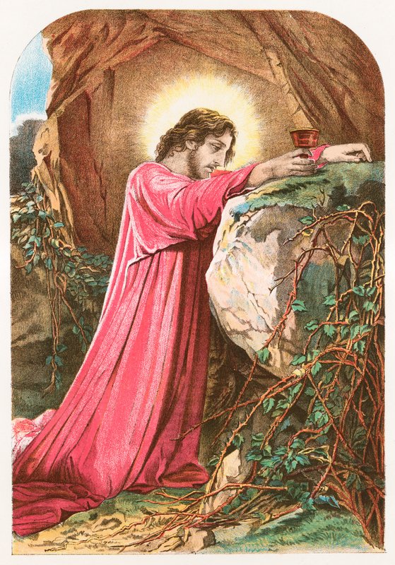 Gethsemane द्वारा अंग्रेजी स्कूल