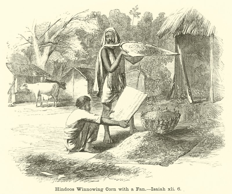 हिंडो विन्निंग कॉर्न विथ ए फैन, यशायाह, ६, ६ द्वारा अंग्रेजी स्कूल