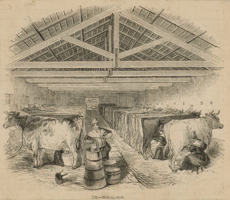 लेक्सॉक्स डेयरी फार्म, दिनांक 1841 जुलाई द्वारा अंग्रेजी स्कूल