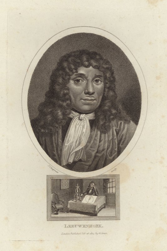 Leeuwenhoek द्वारा अंग्रेजी स्कूल