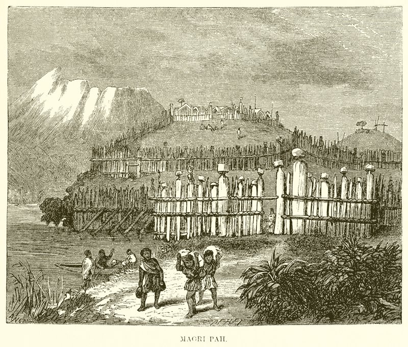 Maori Pah  द्वारा अंग्रेजी स्कूल