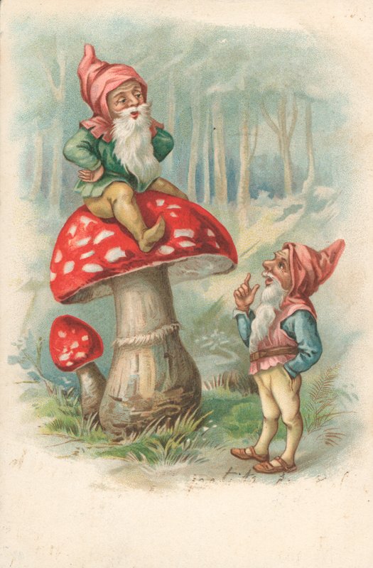 Gnomes के साथ मशरूम द्वारा अंग्रेजी स्कूल