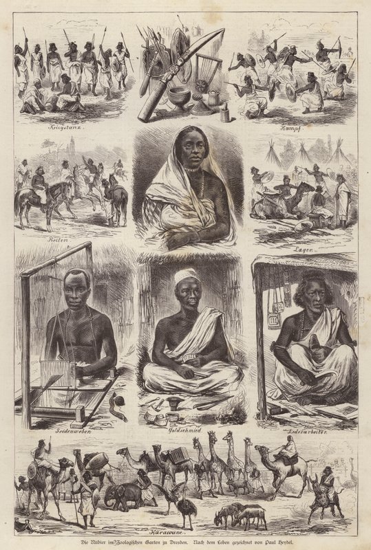 जर्मनी के ड्रेसडेन के जूलॉजिकल गार्डन में न्युबियन (उत्कीर्णन) द्वारा अंग्रेजी स्कूल