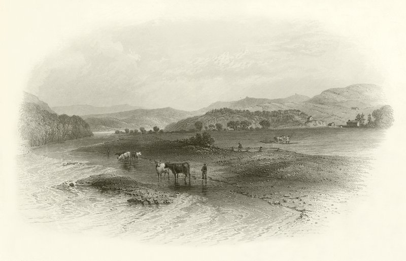 Philiphaugh द्वारा अंग्रेजी स्कूल
