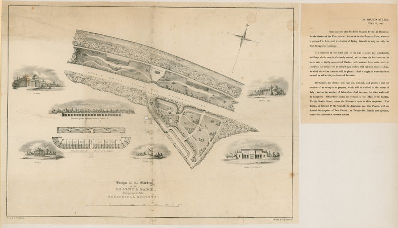 जूलॉजिकल गार्डन, रीजेंट्स पार्क, 1827 के लिए योजना द्वारा अंग्रेजी स्कूल