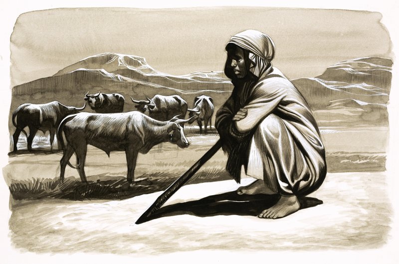 आज के आदिम लोग: द क़ारा - वे उन्हें द शेन्स ऑफ़ शेबा कहते हैं द्वारा अंग्रेजी स्कूल
