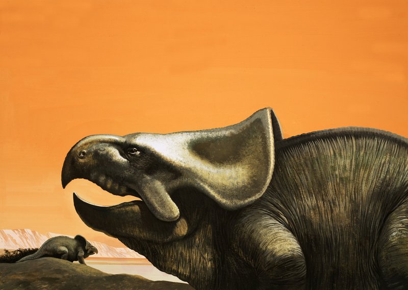 Protoceratops द्वारा अंग्रेजी स्कूल