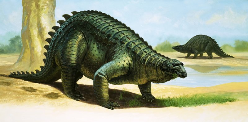 Scelidosaurus द्वारा अंग्रेजी स्कूल