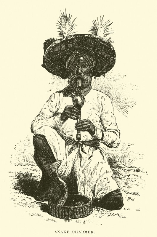सपेरा द्वारा अंग्रेजी स्कूल