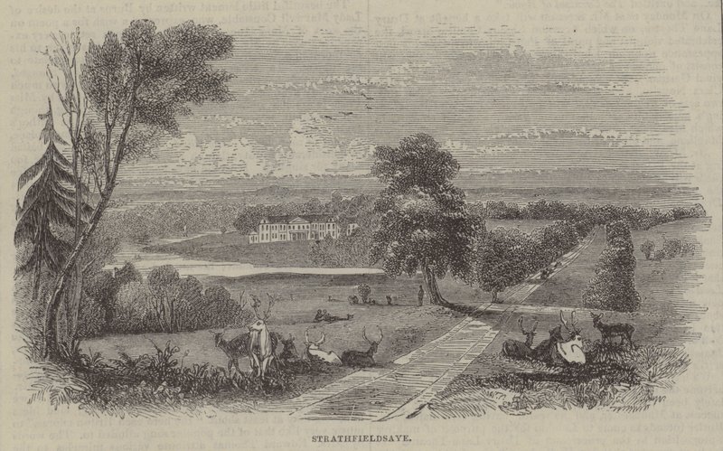 Strathfieldsaye द्वारा अंग्रेजी स्कूल