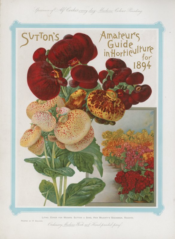 1894 के लिए हॉर्टिकल्चर में Suttons Amateurs गाइड द्वारा अंग्रेजी स्कूल