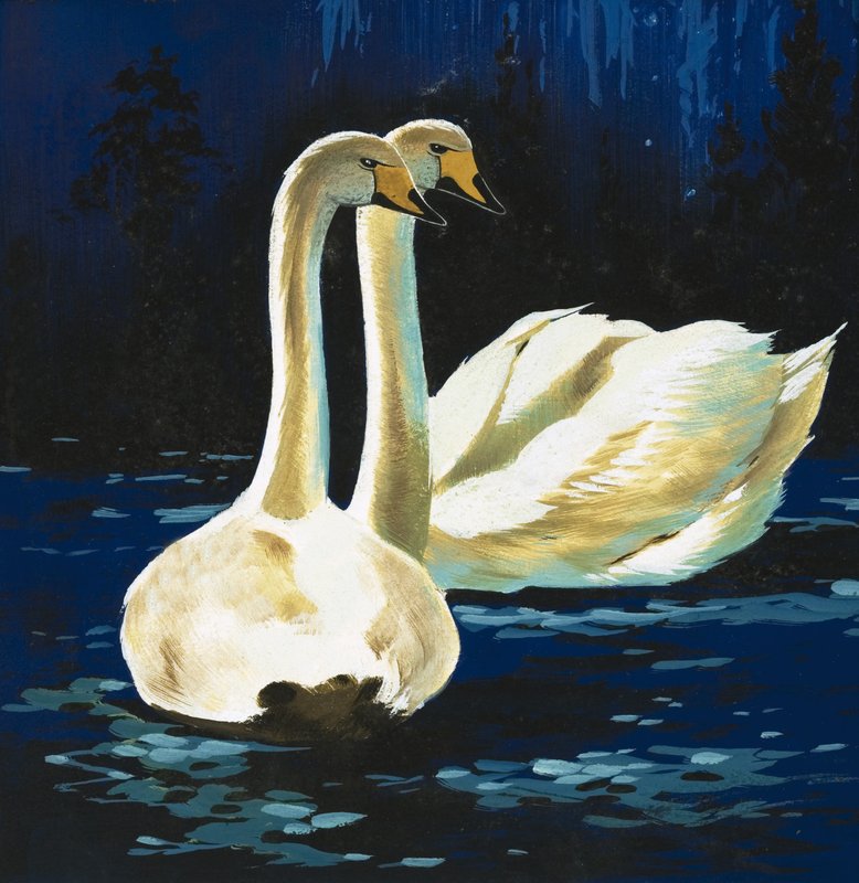 Swans द्वारा अंग्रेजी स्कूल