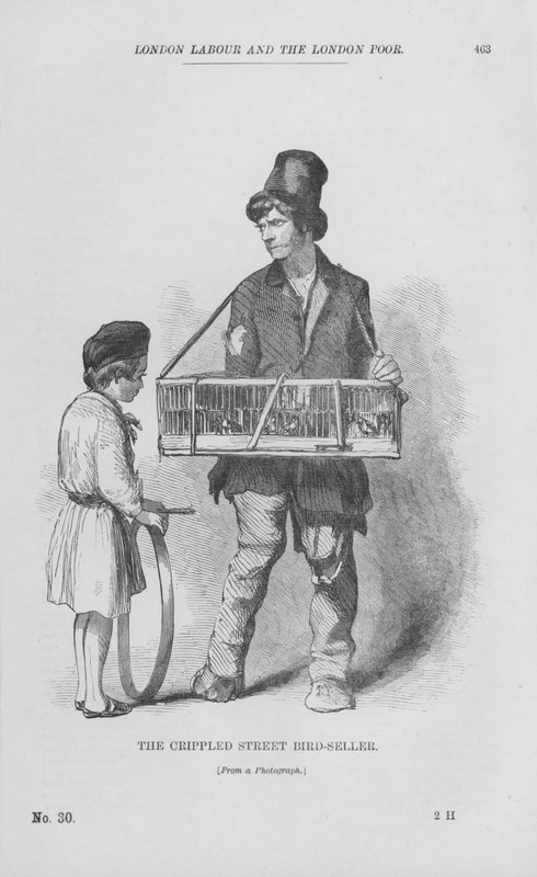 अपंग स्ट्रीट बर्ड-सेलर (उत्कीर्णन) द्वारा अंग्रेजी स्कूल
