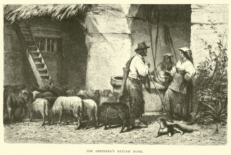 चरवाहे घर लौट आते हैं द्वारा अंग्रेजी स्कूल