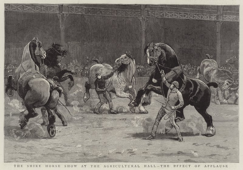 कृषि हॉल में शायर हॉर्स शो, तालियों का प्रभाव (उत्कीर्णन) द्वारा अंग्रेजी स्कूल