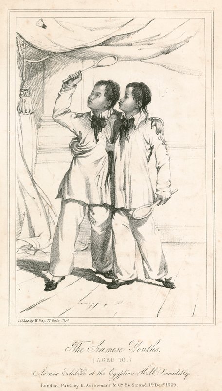 Siamese Youths (18 वर्ष की आयु), मिस्र के हॉल, पिकाडिली में एक नया प्रदर्शन द्वारा अंग्रेजी स्कूल