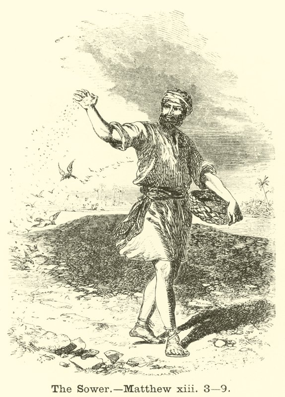 द सॉवर, मैथ्यू, xiii, 3, 9 द्वारा अंग्रेजी स्कूल