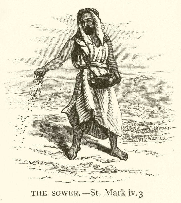 बोने वाला, सेंट मार्क, iv, 3 (उत्कीर्णन) द्वारा अंग्रेजी स्कूल