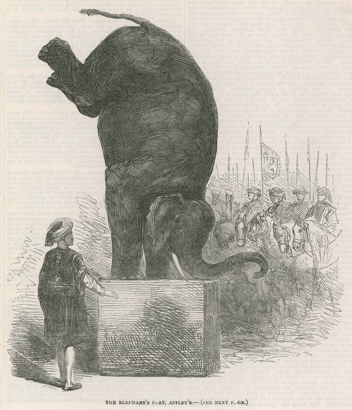 हाथी करतब, Astleys, लंदन द्वारा अंग्रेजी स्कूल
