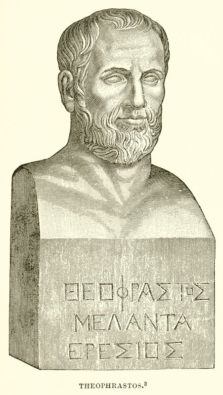 Theophrastos द्वारा अंग्रेजी स्कूल