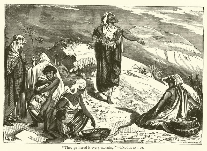 "उन्होंने इसे हर सुबह इकट्ठा किया", निर्गमन, xvi, 21 (उत्कीर्णन) द्वारा अंग्रेजी स्कूल