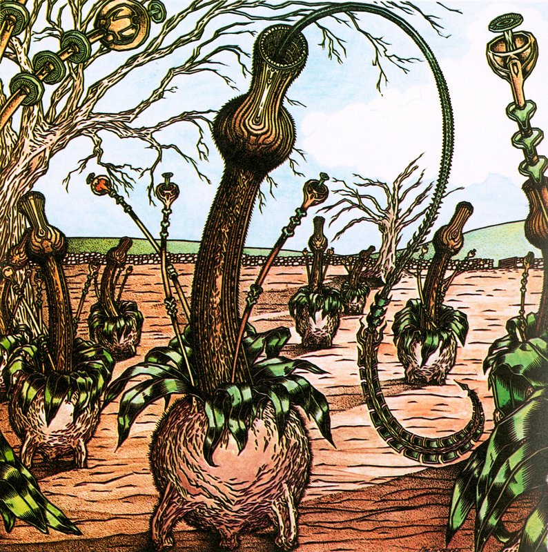 Triffids द्वारा अंग्रेजी स्कूल