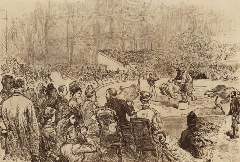 वेल्स के राजकुमार और राजकुमारी और ग्रीस के राजा और रानी की यात्रा, 1876 द्वारा अंग्रेजी स्कूल