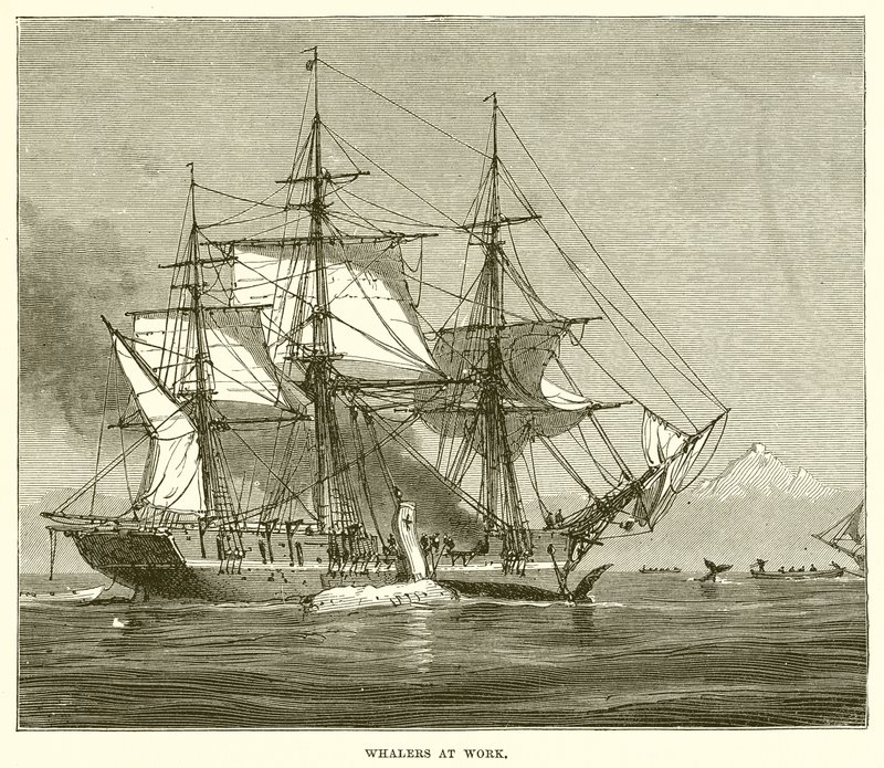 Whalers at Work द्वारा अंग्रेजी स्कूल