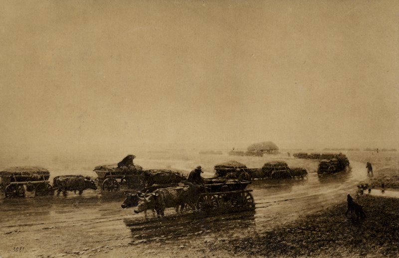 1875 में मारियुपोल में ऑक्स कार्ट ट्रैक द्वारा यूरोपीय स्कूल