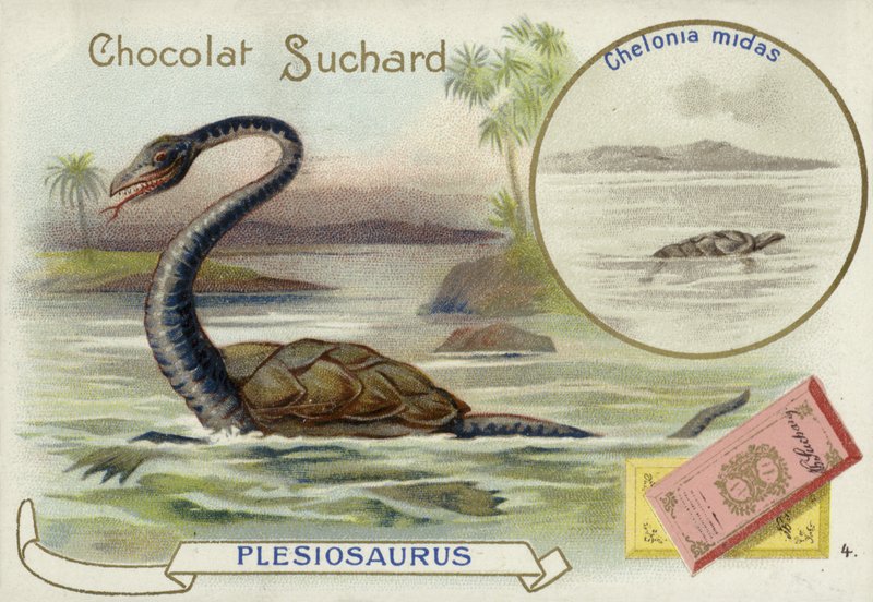 Plesiosaur और हरे समुद्री कछुए द्वारा यूरोपीय स्कूल