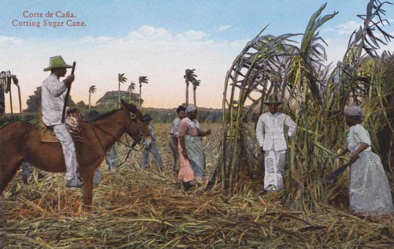  द्वारा यूरोपीय फोटोग्राफर