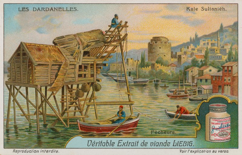 Canakkale द्वारा यूरोपीय स्कूल