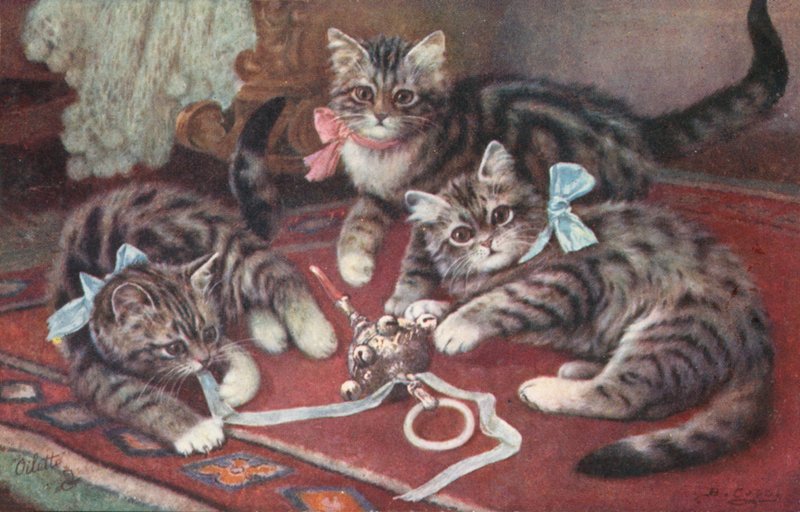  द्वारा यूरोपीय स्कूल