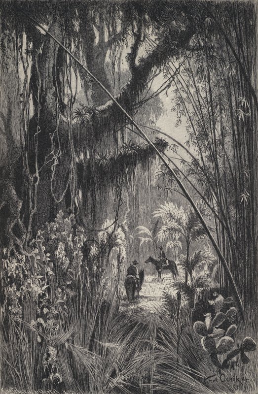 साल्टा के कॉर्डिलेरा में जंगल, उत्तर-पश्चिम अर्जेंटीना (लिथो) द्वारा यूरोपीय स्कूल