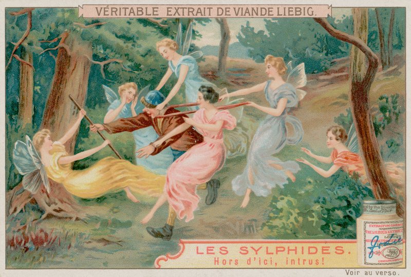 Sylphs और एक घुसपैठिया द्वारा यूरोपीय स्कूल
