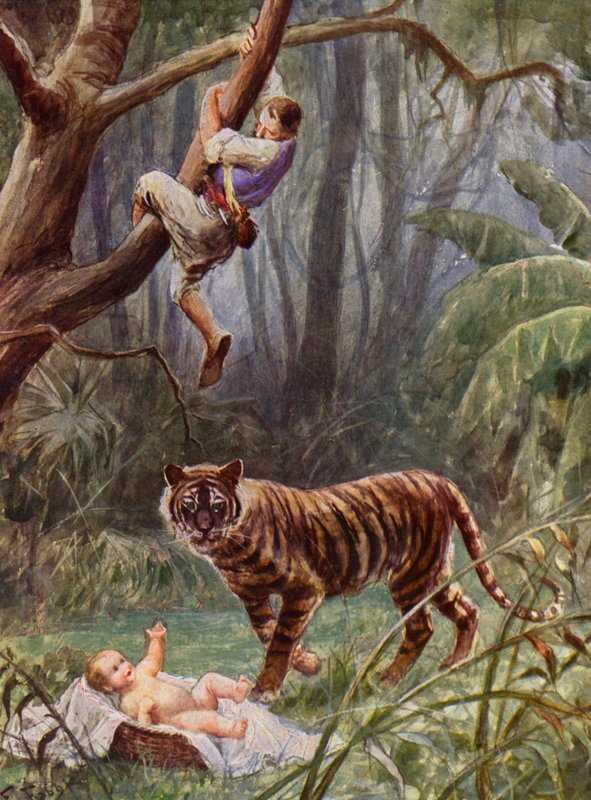  द्वारा फैबियो फैबी