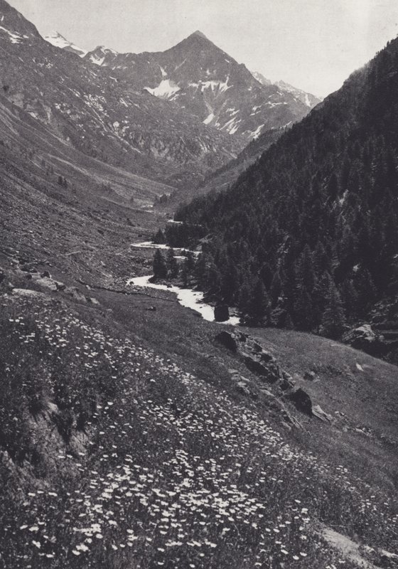 द्वारा फ्रांसिस सिडनी स्मिथे