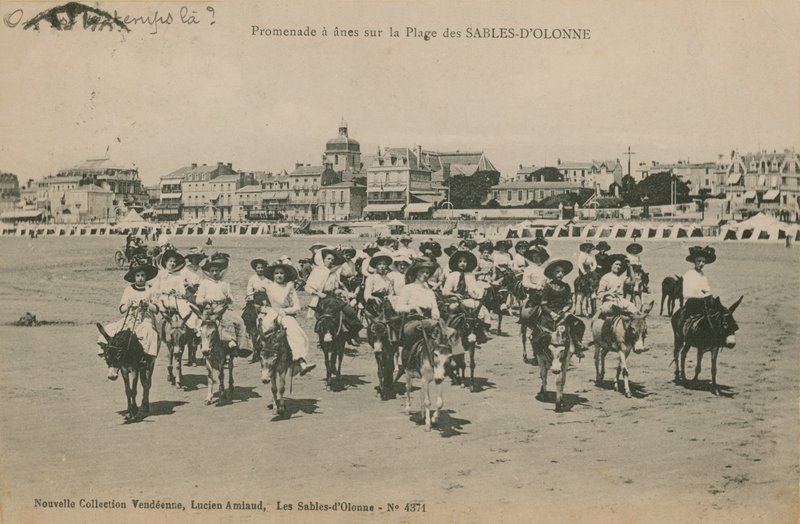 गधा पश्चिमी फ्रांस के Les Sables-dOlonne में समुद्र तट पर सवारी करता है। 1913 में पोस्टकार्ड भेजा गया। द्वारा फ्रेंच फोटोग्राफर