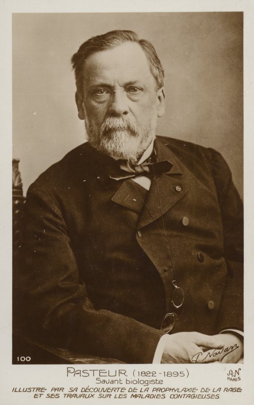 लुई पाश्चर (1822-1895), फ्रांसीसी रसायनज्ञ और सूक्ष्म जीवविज्ञानी द्वारा फ्रेंच फोटोग्राफर