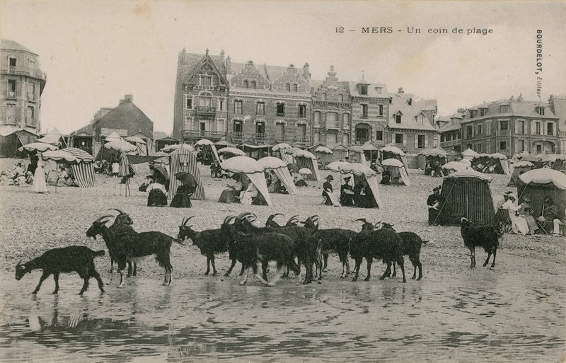 मर्स - समुद्र तट का एक हिस्सा। 1913 में पोस्टकार्ड भेजा गया। द्वारा फ्रेंच फोटोग्राफर