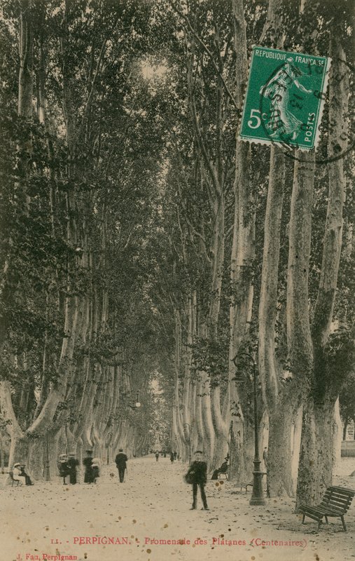पेरिग्नन में प्रोमेनेड डेस प्लैनेट 1913 में पोस्टकार्ड भेजा गया। द्वारा फ्रेंच फोटोग्राफर