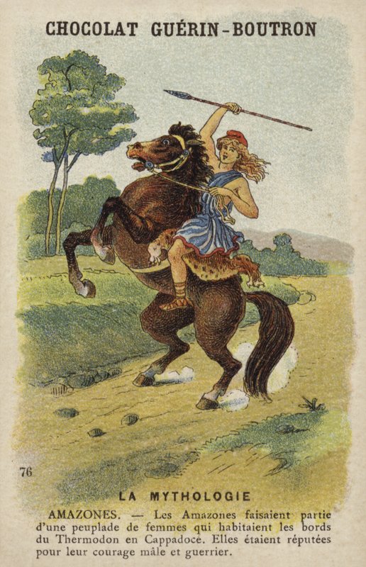 Amazons द्वारा फ्रेंच स्कूल