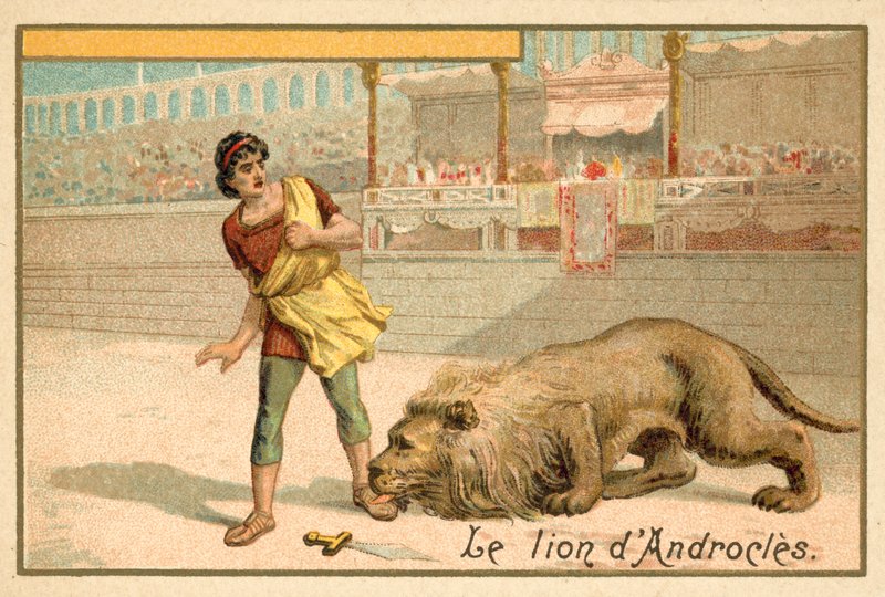 एंड्रोकल्स और शेर द्वारा फ्रेंच स्कूल