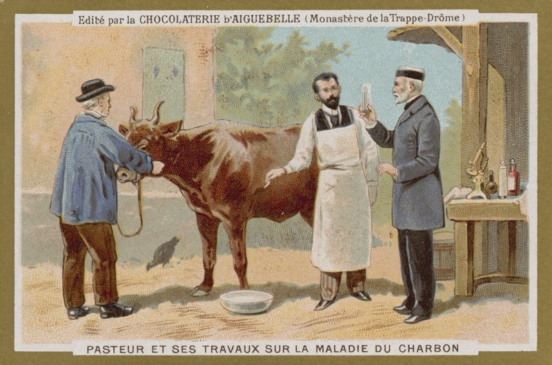 Chocolat dAiguebelle ट्रेड कार्ड द्वारा फ्रेंच स्कूल