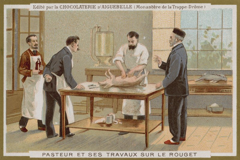 Chocolat dAiguebelle ट्रेड कार्ड द्वारा फ्रेंच स्कूल