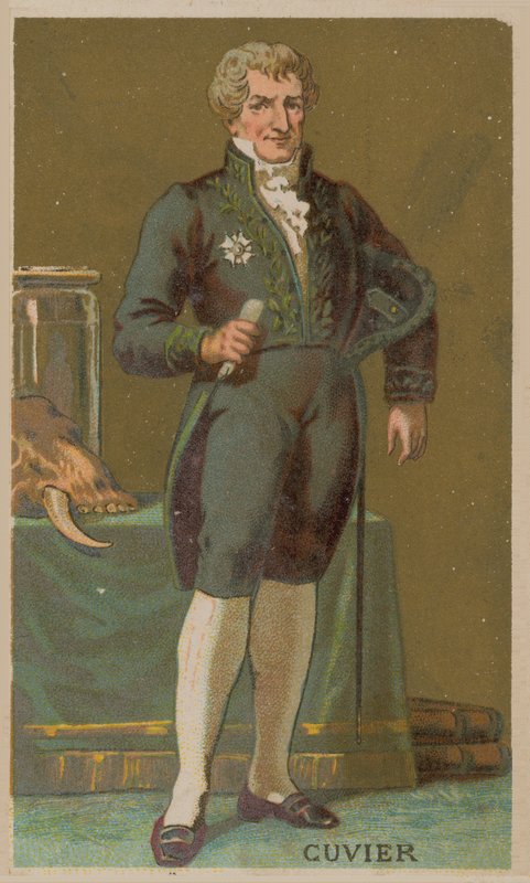 जॉर्जेस कुवियर, फ्रांसीसी प्रकृतिवादी और प्राणी विज्ञानी (1769-1832) द्वारा फ्रेंच स्कूल