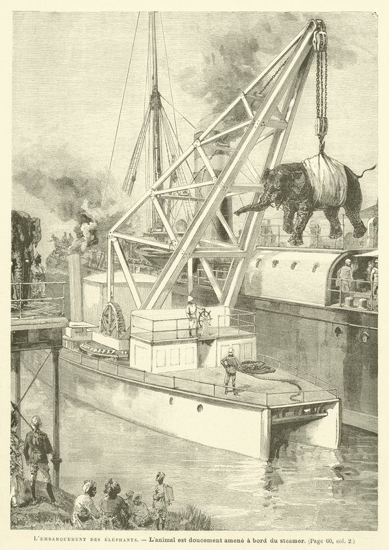 Embarquement Des हाथी (उत्कीर्णन) द्वारा फ्रेंच स्कूल