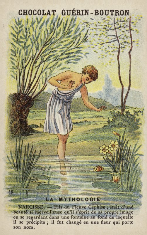 Narcissus द्वारा फ्रेंच स्कूल