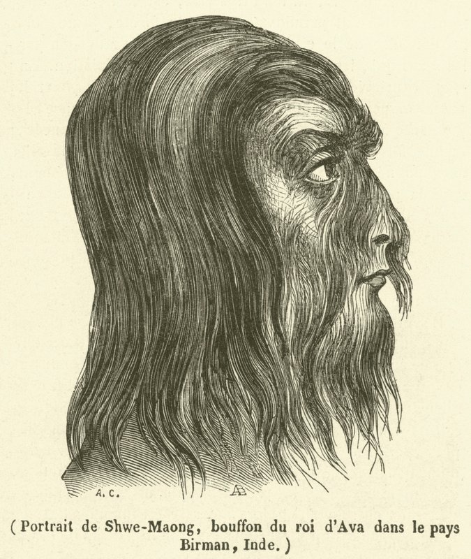 श्वे-माओंग का पोर्ट्रेट, बर्मी देश, भारत में अवा के राजा का विदूषक (उत्कीर्णन) द्वारा फ्रेंच स्कूल