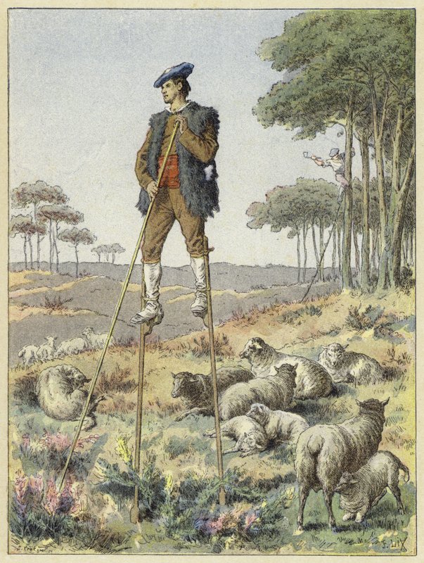 Stilts, Landes, फ्रांस पर चरवाहा द्वारा फ्रेंच स्कूल